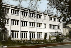 esnault
